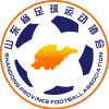 Logo shandong U20