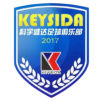 Logo Shenzhen Keysida