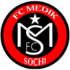 Logo Sochi medical team