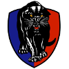 Logo South Adelaide Panthers (W)