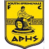 Logo South Springvale SC