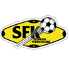 Logo Steinkjer (W)