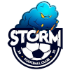 Logo Storm (W)