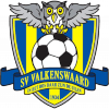 Logo SV Valkenswaard