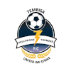 Logo Tembisa Hollywood Thunder FC