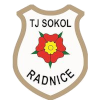 Logo TJ Sokol Radnice