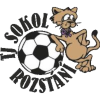 Logo Tj Sokol Rozstani