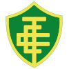 Logo Tupy U20