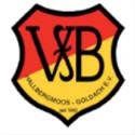 Logo VFB Hallbergmoos