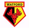 Logo Watford U23