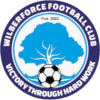 Logo Wilberforce Strikers