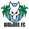 Logo Wolues FC