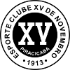 Logo XV de Piracicaba (Youth)