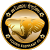 Logo Young Elephants FC